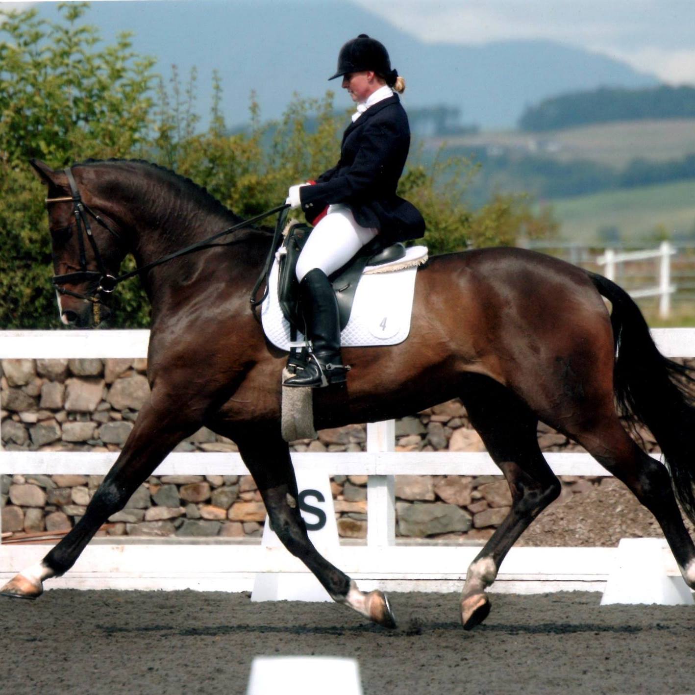 Debbie Jones Dressage